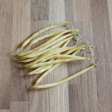 Semences Haricot jaune Pauldor
