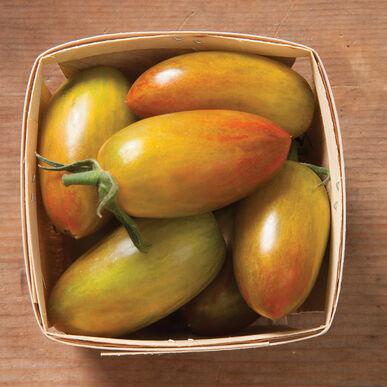 Semences Tomates Lucky tiger