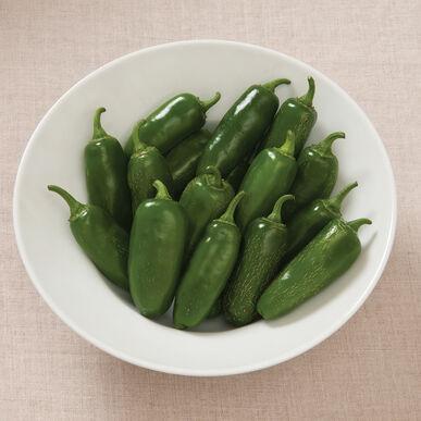 Semences Piment Early jalapeno