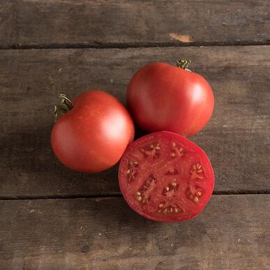 Semences Tomates Morskvich