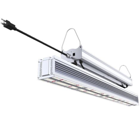 FUTUR VERT FLORAKING LAMPE DE CULTURE LED 530W 120V-277V
