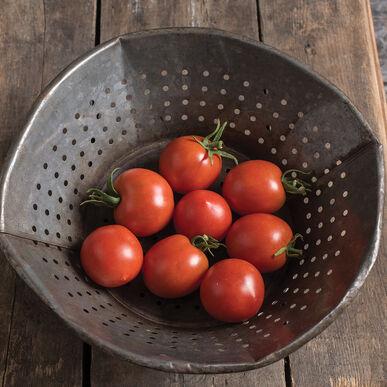 Semences Tomates Glacier