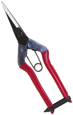 Ciseau Chikamasa T-550