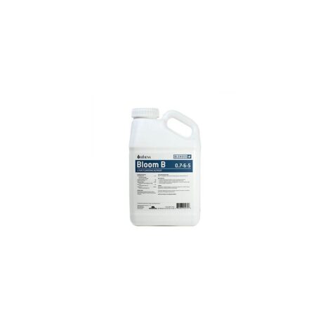 ATHENA FLORAISON B 4L
