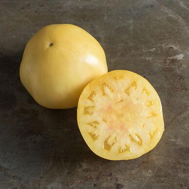 Semences Tomates Grande Blanche