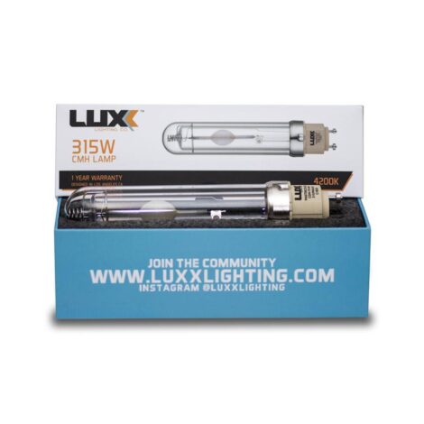 LUXX AMPOULE - CMH 315W - 4200°K
