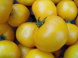 Semis de tomate Lemon Boy