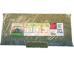 Grodan pain de propagation x98