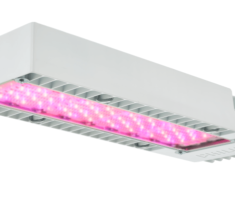 Philips GreenPower LED toplighting compact 630W 240-347V